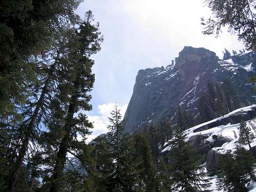 Sequoia April 2005