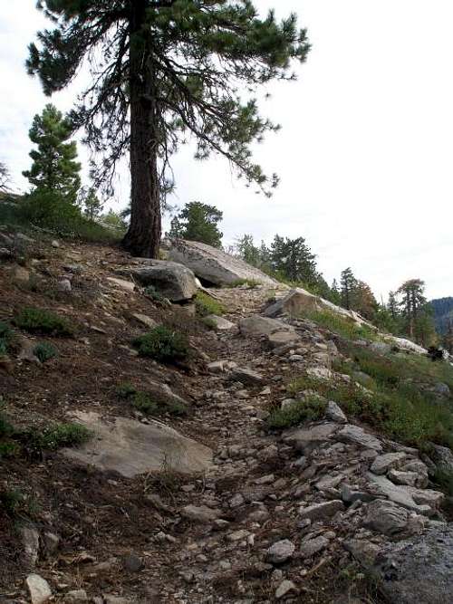 The trail to Mule Peak