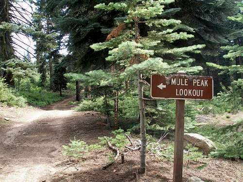 Mule Peak Road Sign