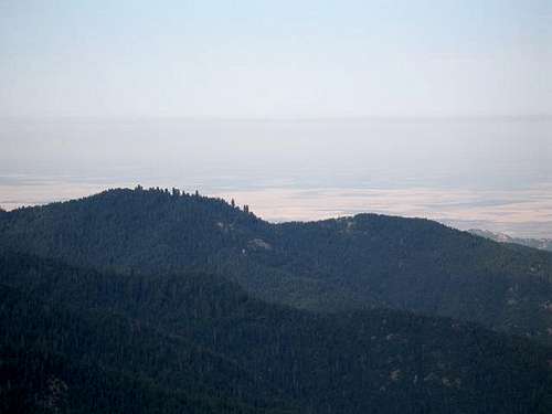 You can see Giant Sequoias from Mule Peak