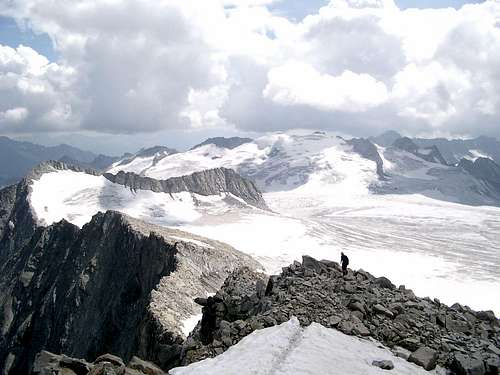 Corno Bianco and Adamello glacier