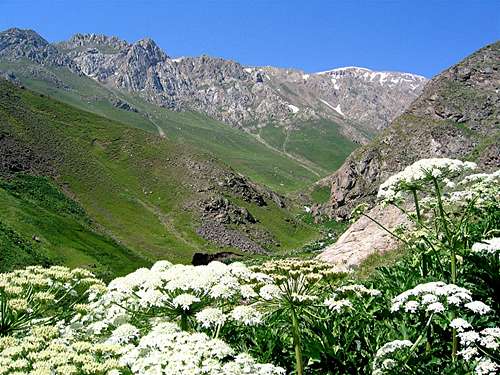 Lehra Peaks (Dokhaharan Expedition, Part I of VI)