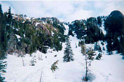 The Avalanche Chute. May 10,...