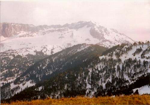 The rest of the ridgeline,the 2nd highest peak and the forest below them(21-2-2006)
