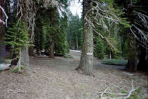 view of Cedar Camp from the...