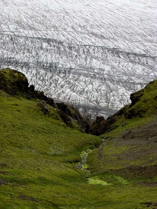 Glacier under the trail