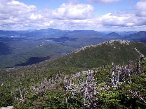 Whiteface from Algonquin