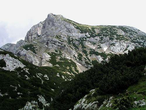 Velika Zelenica from Molicka planina
