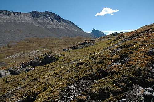 Wilcox Pass Trail Scenery