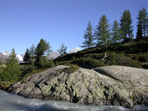 La vetta del Monte Bianco dal vallone di Bella Comba