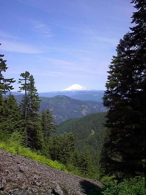 Mt. Adams from the Starvation...