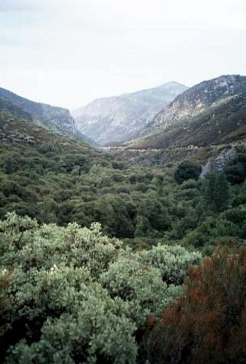 Tule Canyon and Manzanita