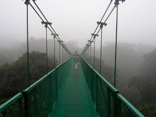 Monte Verde cloud forest in costa rica, elevation about 1 mile