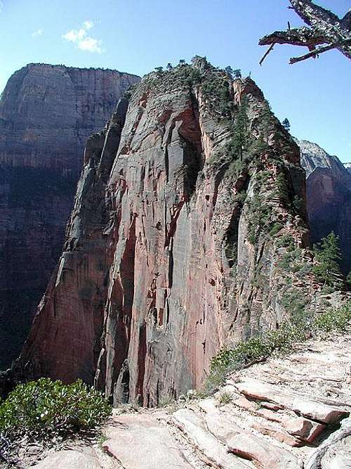 Angels Landing from Scout...