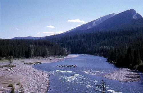 Fording South Fork of the Flathead River