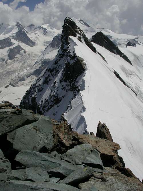 Monte Rosa