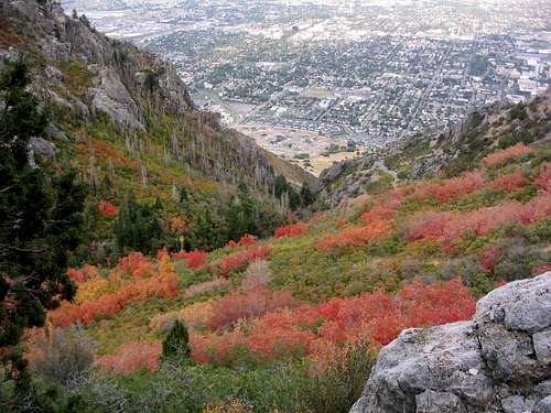 Provo from canyon south of Y Mountain