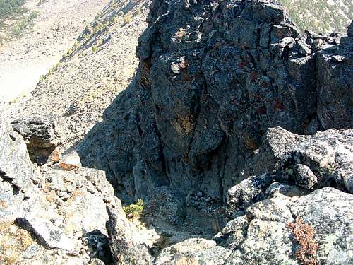 Looking Down the Gully