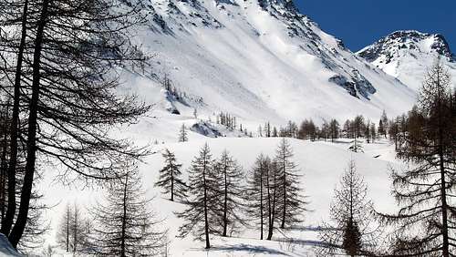 Il Mont Fallère (3061 m) dall'alpe di Ars