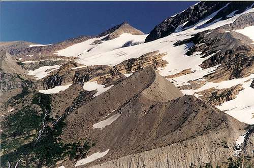 Blackfoot Glacier Moraine
