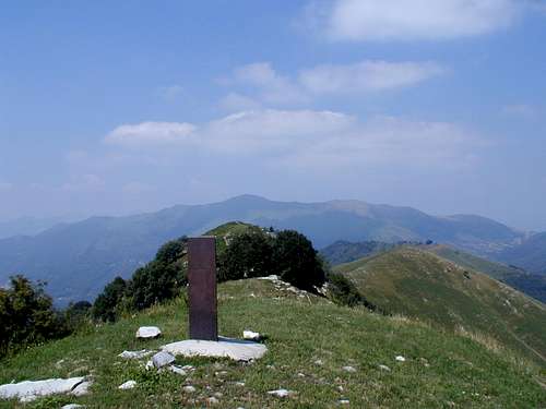 the summit of Palanzone