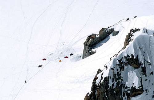 Cosmiques camp