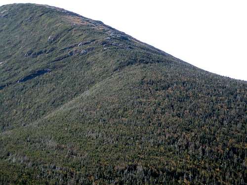 the upper part of the trail to Algonquin Peak