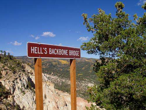 Hell's Backbone Bridge View