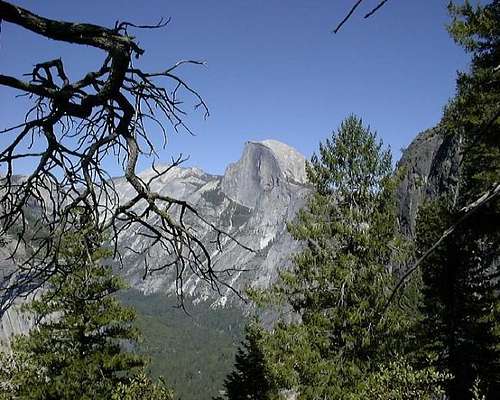 Half Dome from the Four Mile...