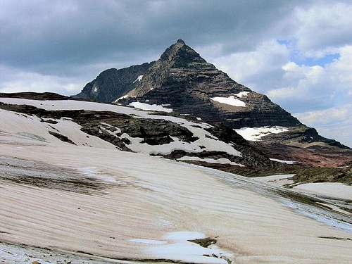 Edwards Mtn, from lower flank of Gunsight Mtn.