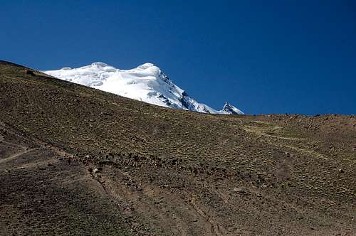 Goats above 3500m camp with Yazghil Sar rising above