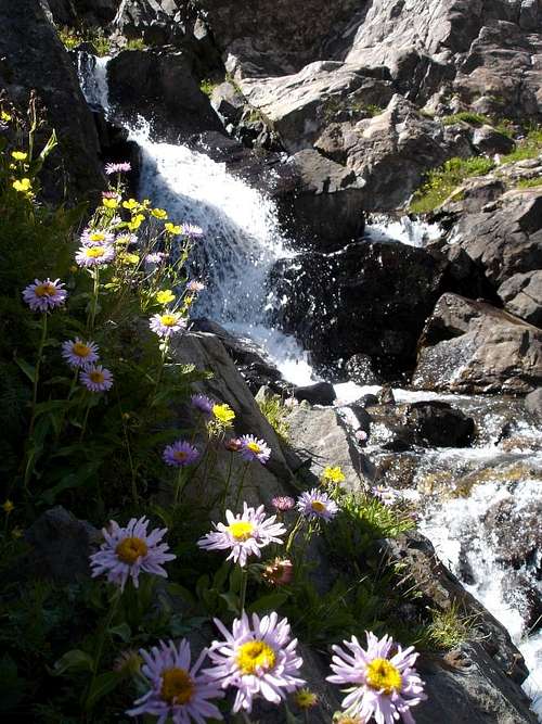 Waterfall and wildflowers above Mohawk Lake