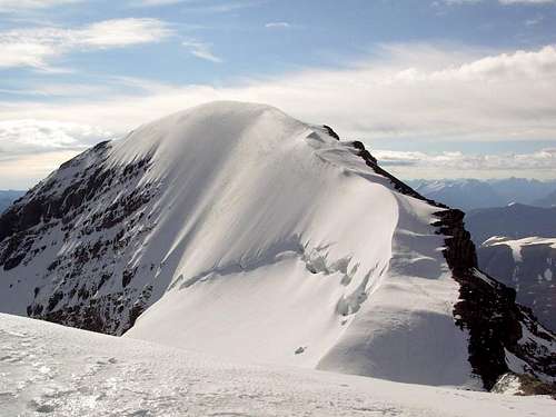 Mt Athabasca's Summit Ridge
