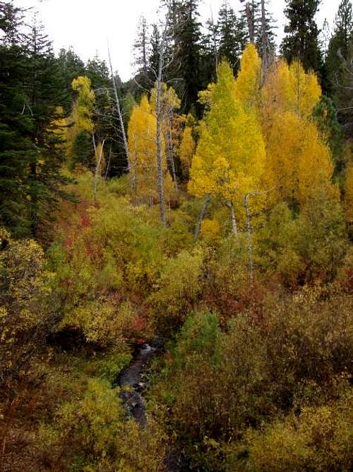 The colors of Peppermint Creek