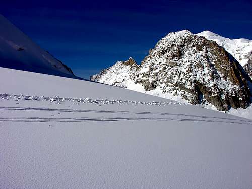 Glacier du Géant