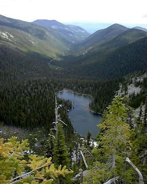 Pyramid Lake and the Forest...