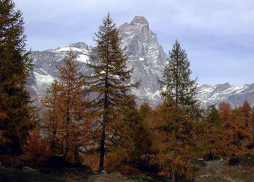 Il monte Cervino - Matterhorn (4478 m)