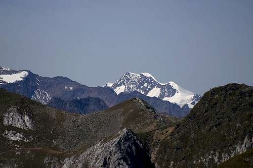 Wildspitze