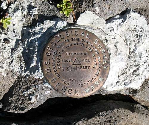 Brown Mtn  Benchmark (OR)