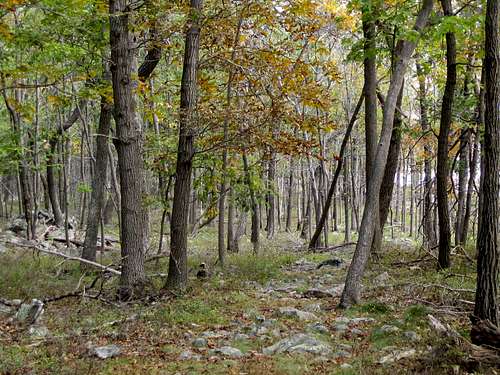 the nice walk on the Appalachian Trail