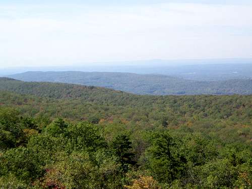 view from fire tower