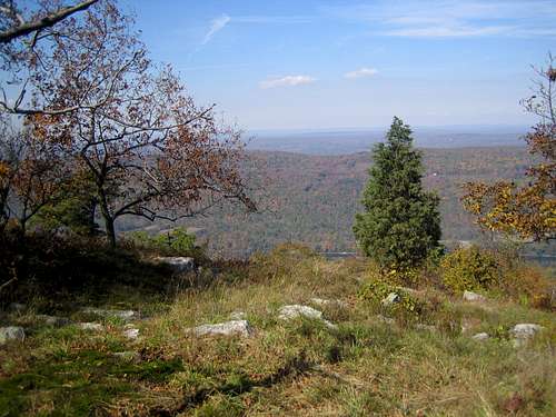 view along trail near summit of Mt. Mohican