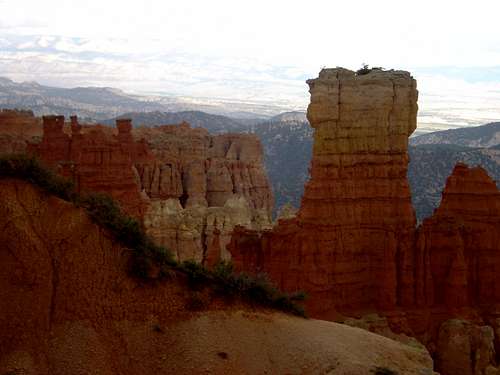 Rocks in Bryce Canyon