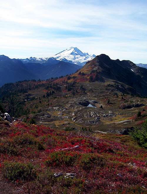 Mount Baker and Fall Colors