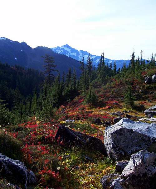 Mount Shuksan and Fall Colors 2
