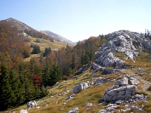 Trail passes south end of Stokic duliba