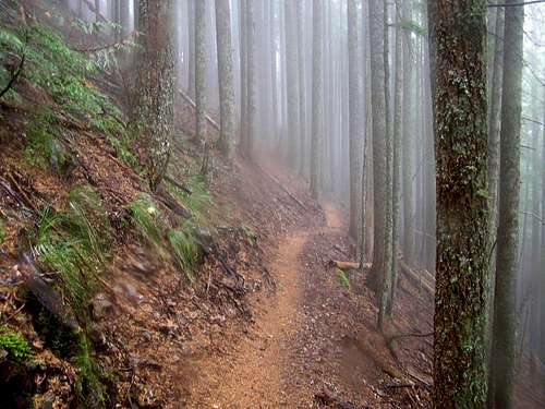 Boulder Ridge Trail
