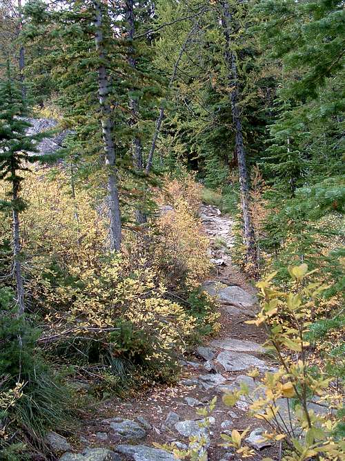 Trail to Baker Point