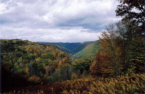 Northern Allegheny Plateau