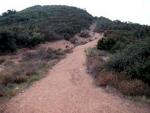 Gaviota Peak Trail